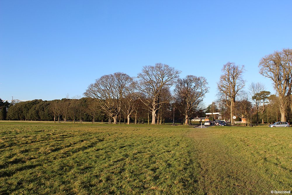 Phoenix park