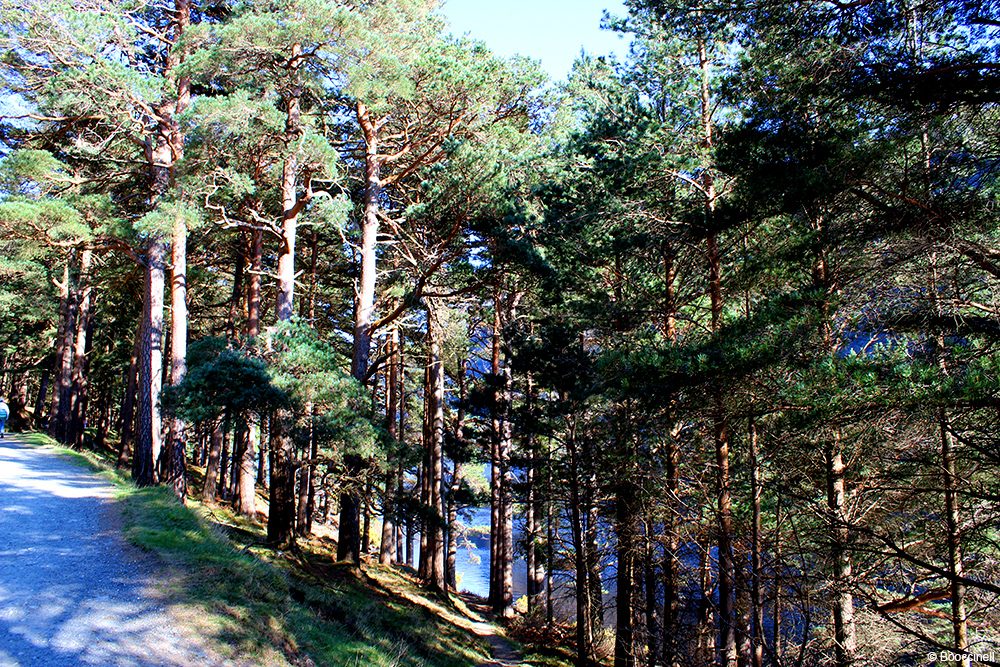 une journée à Glendalough