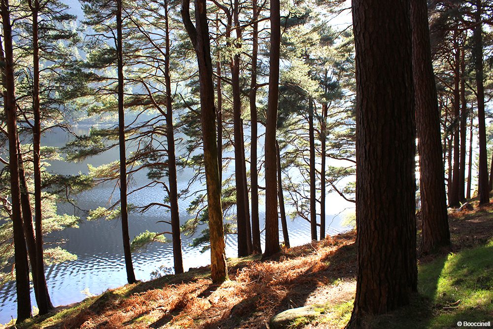 une journée à Glendalough