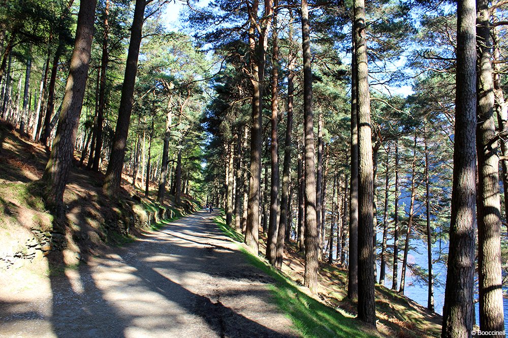 une journée à Glendalough