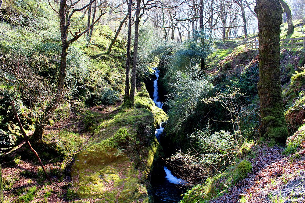 une journée à Glendalough