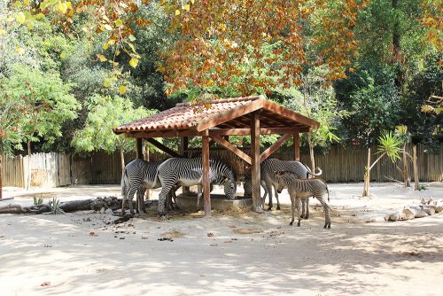 un séjour de 4 jours à Lisbonne au Portugal.