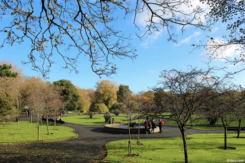 visiter Dublin en une journée Stephen Green Park