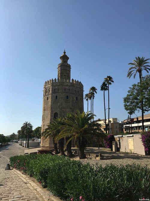 Segway à Séville